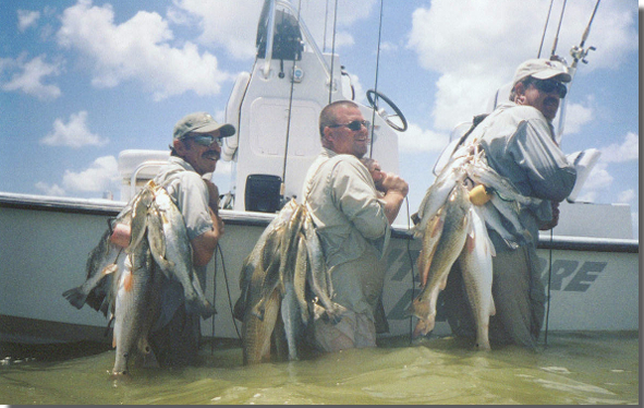 Captain Mike Powell's All Season Guide Service, Fishing Port O'Connor,Matagorda Palacios Bay Systems.