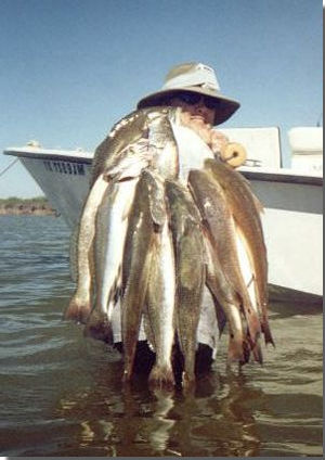 Captain Mike Powell's All Season Guide Service, Fishing Port O'Connor,Matagorda Palacios Bay Systems.