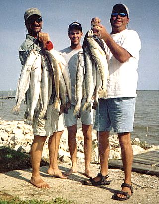 Captain Mike Powell's All Season Guide Service, Fishing Port O'Connor,Matagorda Palacios Bay Systems.
