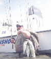 Click on Image for larger view.