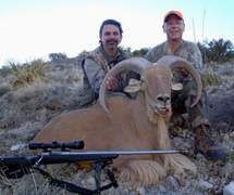 Free Range Aoudad Sheep Hunting. Guided Hunts Texas Bighorn Sheep Hunting.