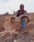 Free Range Aoudad Sheep Hunting. Guided Hunts Texas Bighorn Sheep Hunting.