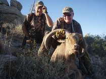 Free Range Aoudad Sheep Hunting. Guided Hunts Texas Bighorn Sheep Hunting.