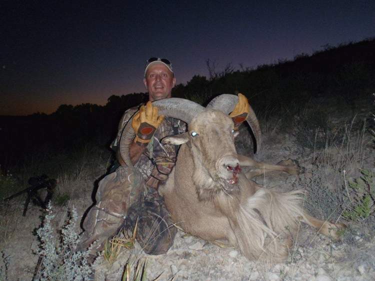 Texas Exotic Hunting Safaris With All Seasons Guide Service.