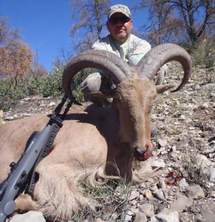 Free Range Aoudad Sheep Hunting. Guided Hunts Texas Bighorn Sheep Hunting.