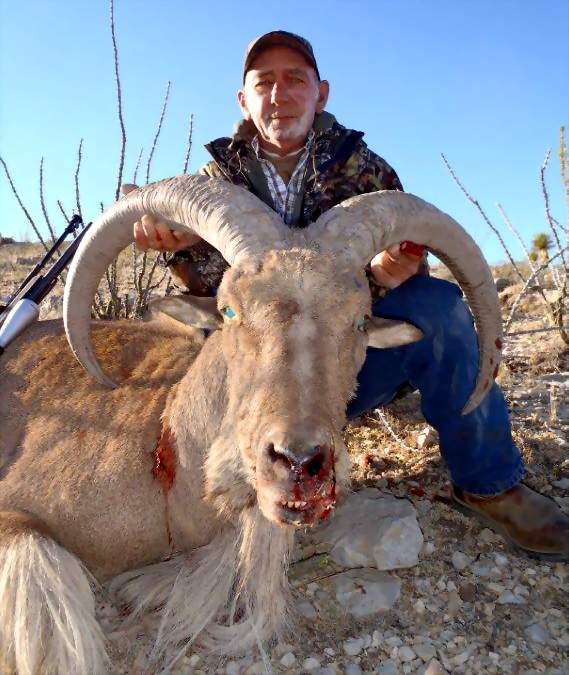Texas Exotic Hunting Safaris With All Seasons Guide Service.