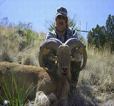 Free Range Aoudad Sheep Hunting. Guided Hunts Texas Bighorn Sheep Hunting.