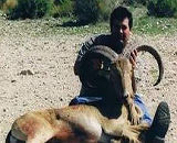 Free Range Aoudad Sheep Hunting. Guided Hunts Texas Bighorn Sheep Hunting.