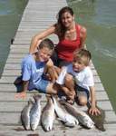 Click on Image for larger view.
