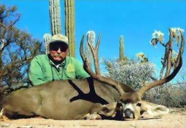 Sonora Mexico Mule Deer Hunts,guided mule deer hunts,Hunt Mexico For Trophy Mule Deer