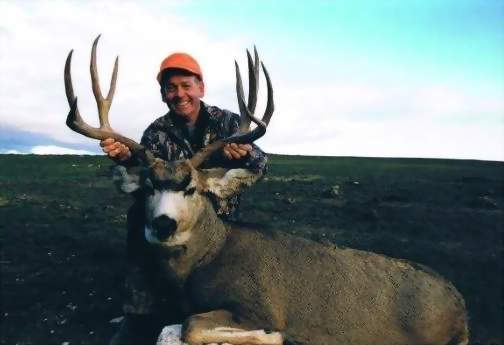 Wyoming Mule Deer Hunts,Guided Mule Deer With All Seasons Guide Service.